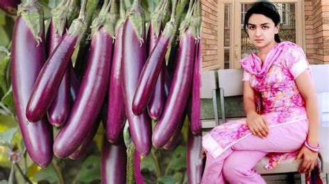 kuwari sex video|Kuwari girl put pura brinjal in her discount gad country  .